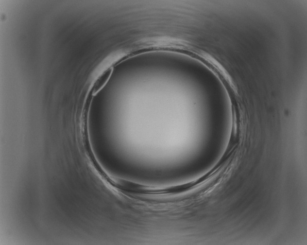 X0000082951285200702011233