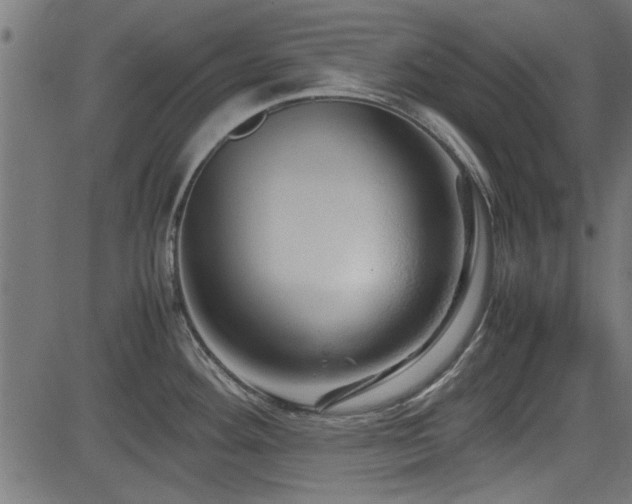 X0000082951292200702011233