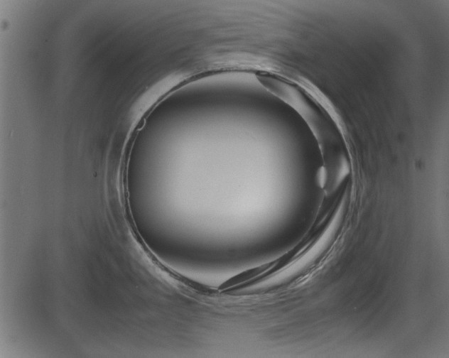X0000082951293200702011233