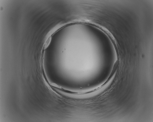 X0000082951295200702011233