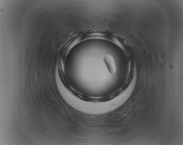 X0000082951298200702011232