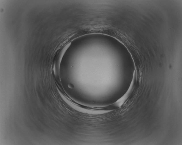 X0000082951300200702011232