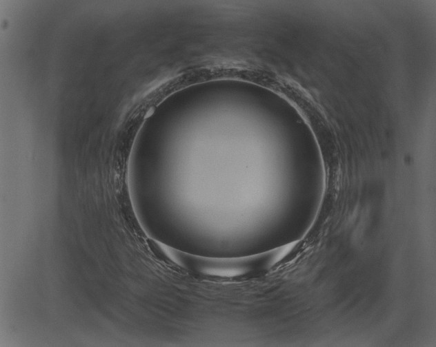 X0000082951303200702011232