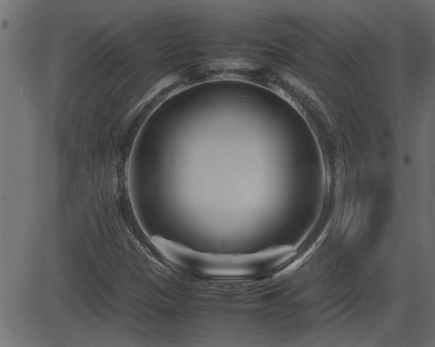 X0000082951305200702011232