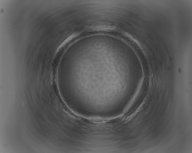X0000082951306200702011232