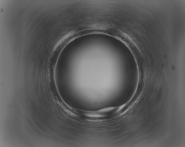 X0000082951307200702011232