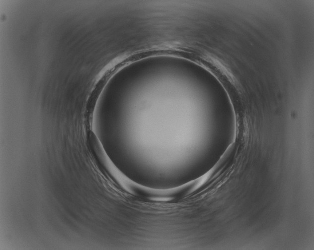 X0000082951308200702011232