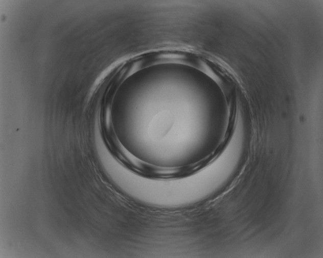 X0000082951310200702011232