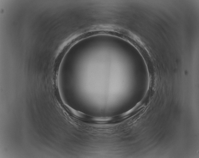 X0000082951312200702011232