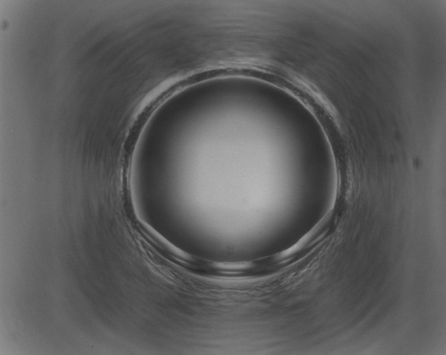 X0000082951316200702011232