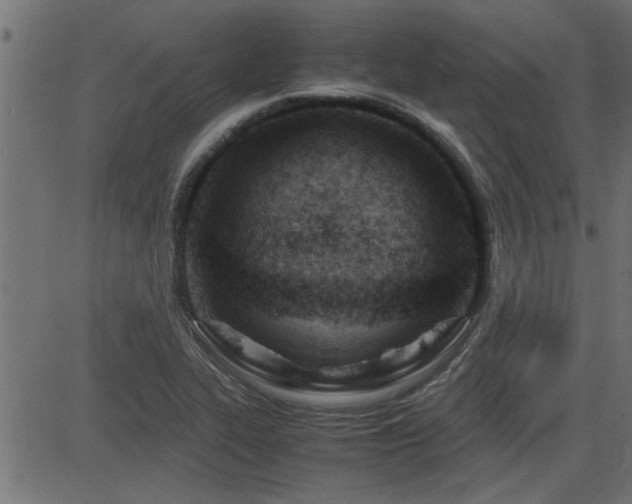 X0000082951319200702011232