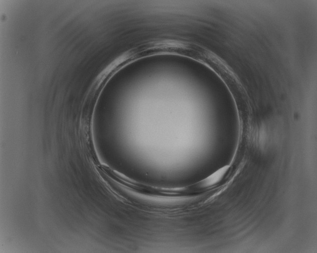 X0000082951321200702011232