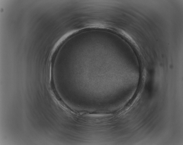 X0000082951323200702011232
