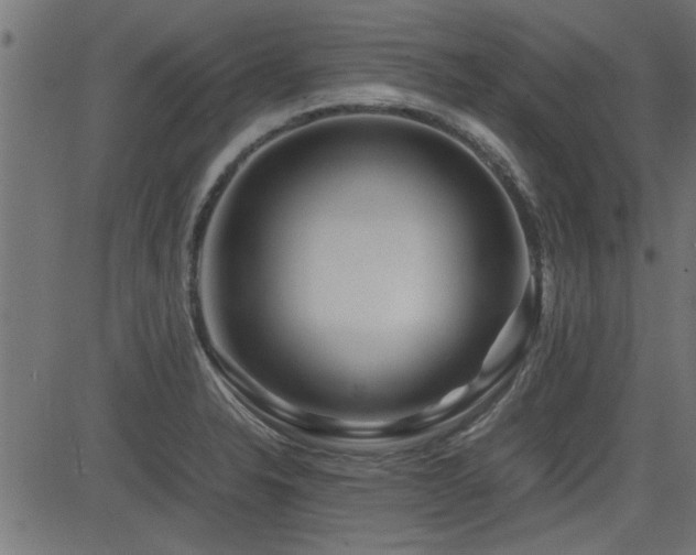 X0000082951326200702011232