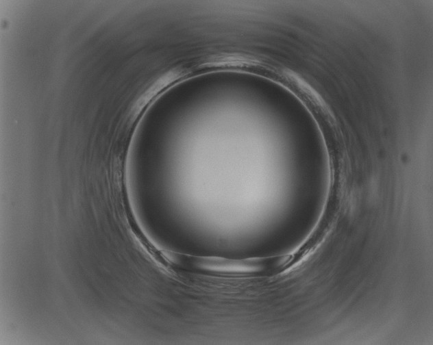 X0000082951329200702011232