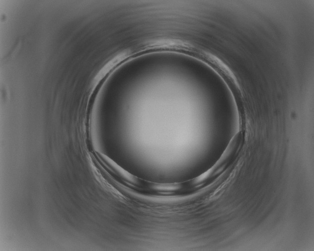 X0000082951330200702011232