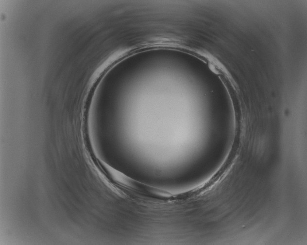 X0000082951333200702011233