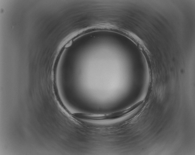 X0000082951335200702011233