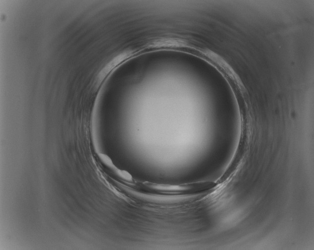 X0000082951337200702011233