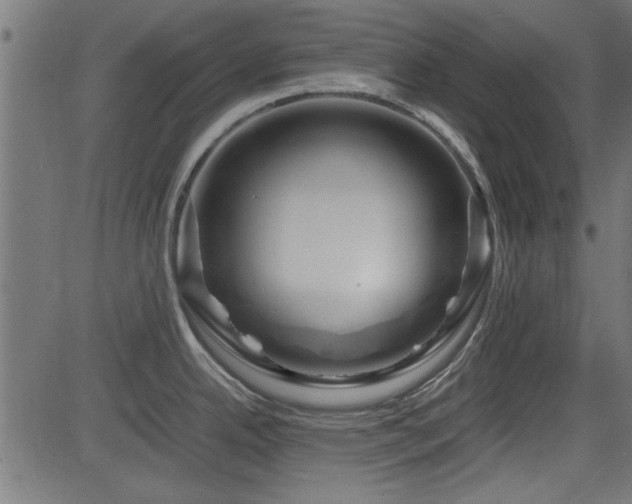 X0000082951342200702011233