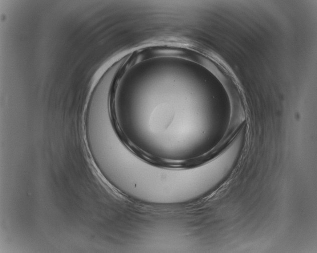 X0000082951344200702011233