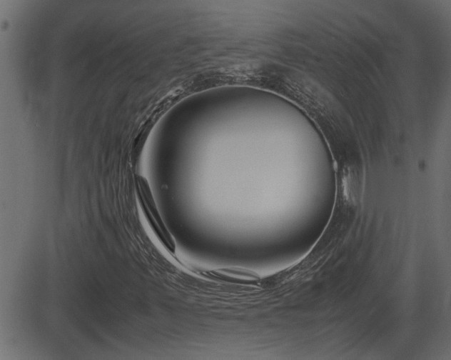 X0000082951347200702011232