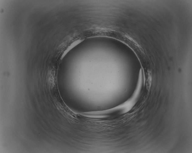 X0000082951348200702011232