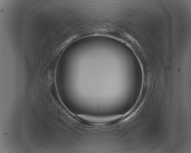 X0000082951353200702011232