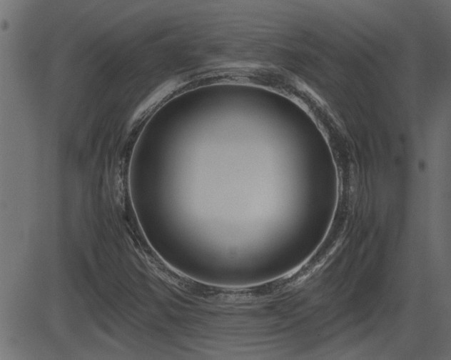 X0000082951354200702011232