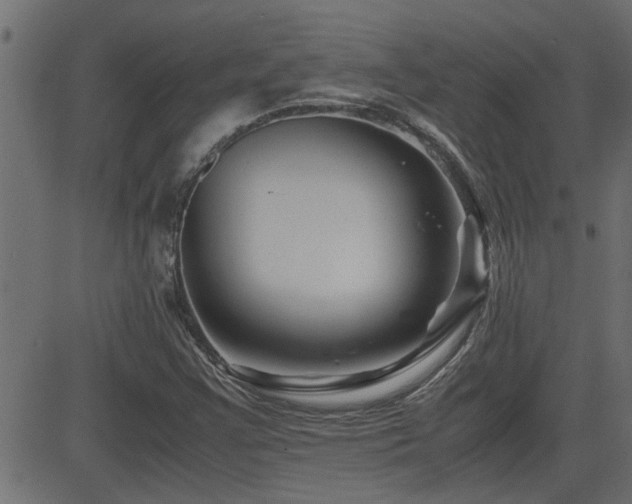 X0000082951355200702011232