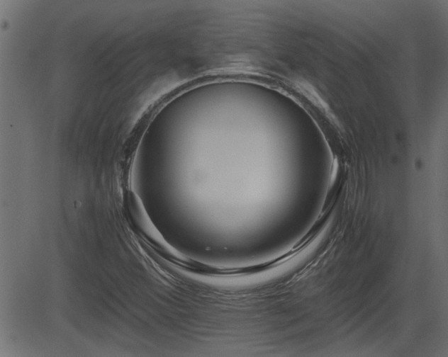 X0000082951356200702011232