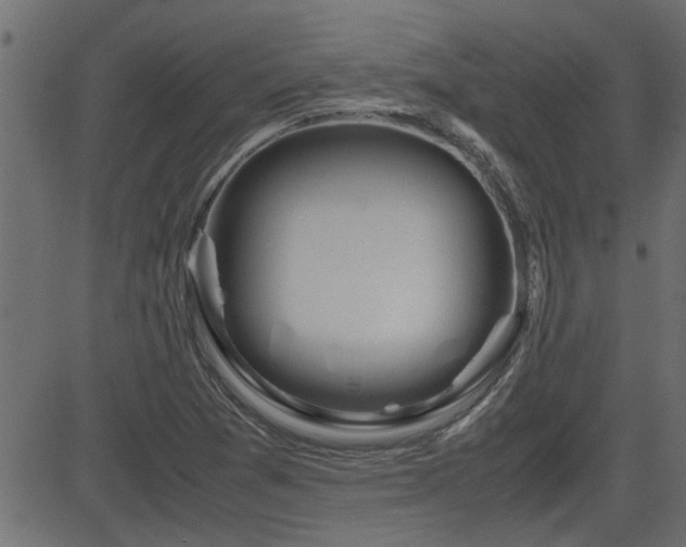 X0000082951361200702011232
