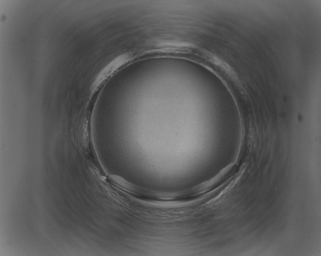 X0000082951362200702011232