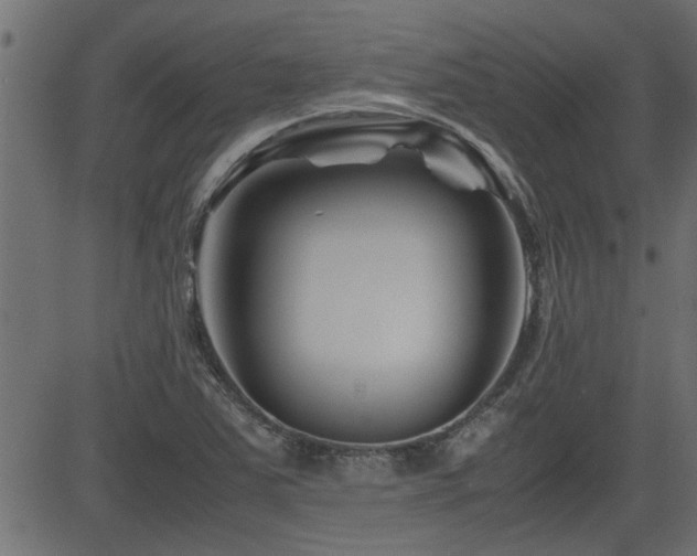 X0000082951363200702011232
