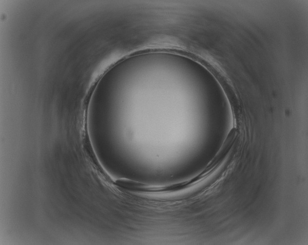 X0000082951366200702011232