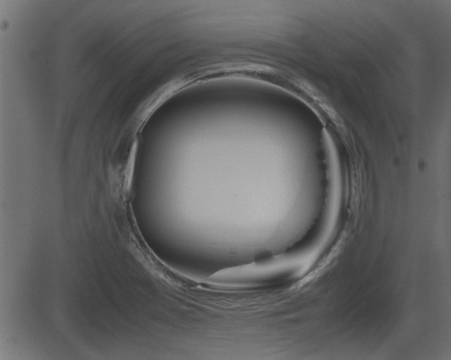 X0000082951369200702011232