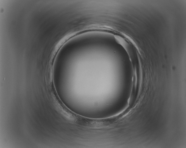 X0000082951371200702011232