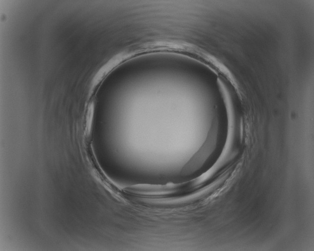 X0000082951373200702011231