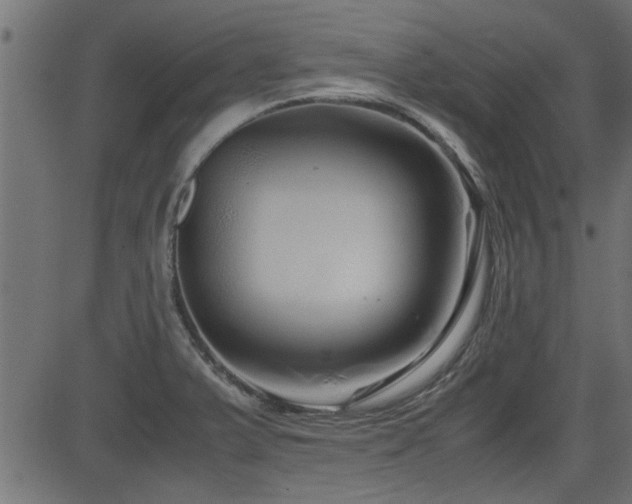 X0000082951375200702011231