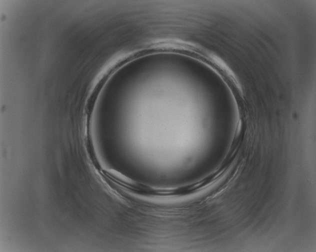 X0000082951376200702011231