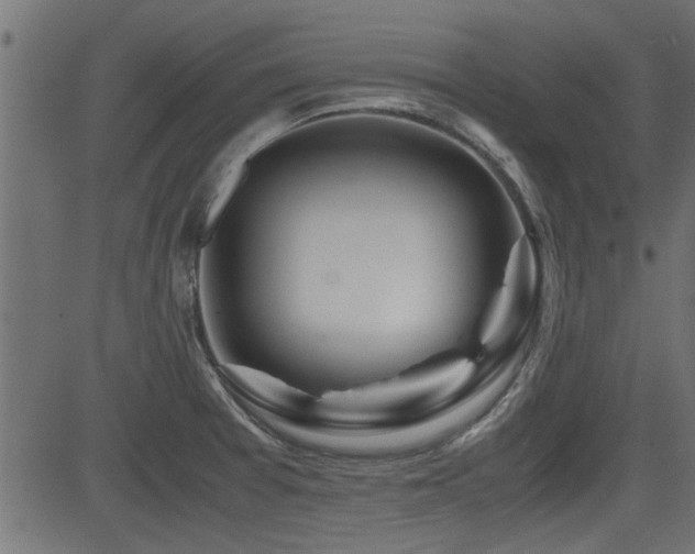X0000082951377200702011231