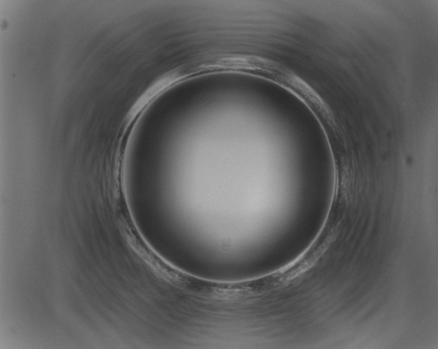 X0000082951378200702011231