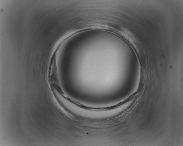 X0000082951379200702011231