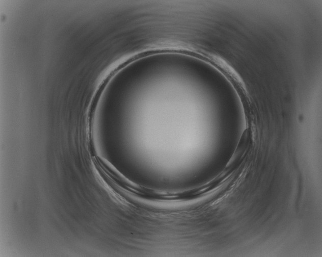 X0000082951380200702011231