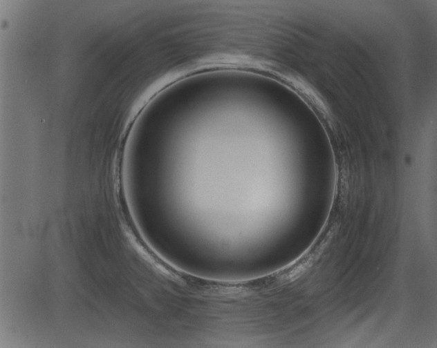 X0000082951382200702011231