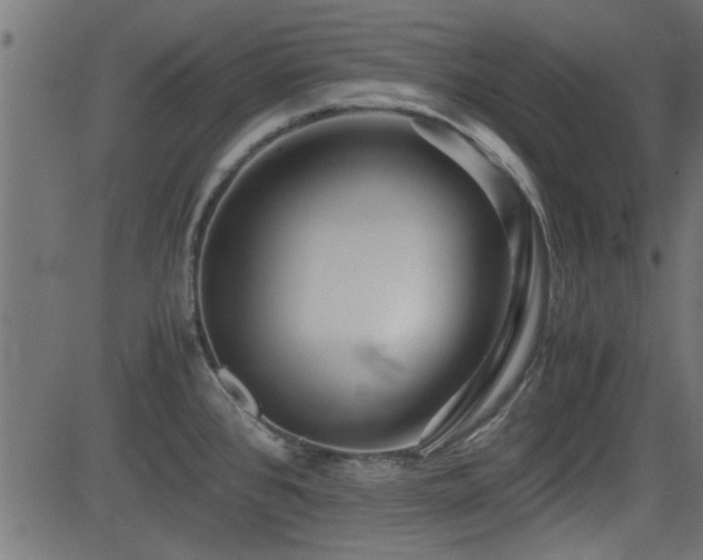 X0000082951384200702011231
