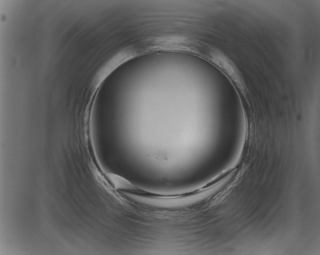 X0000082951386200702011231