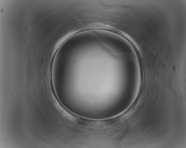 X0000082951387200702011231