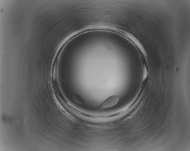 X0000082951388200702011231