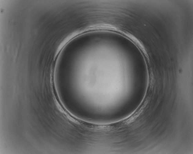 X0000082951390200702011231